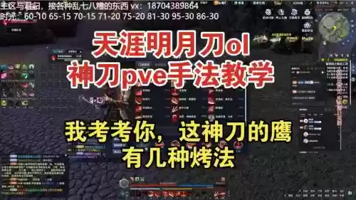 pvp神刀帮派技能，神刀pvp强吗插图