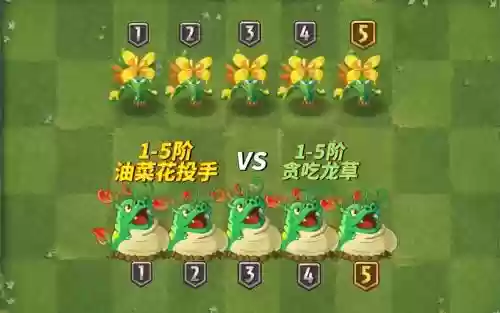 植物大战僵尸菜地阵容搭配，植物大战僵尸中的菜插图