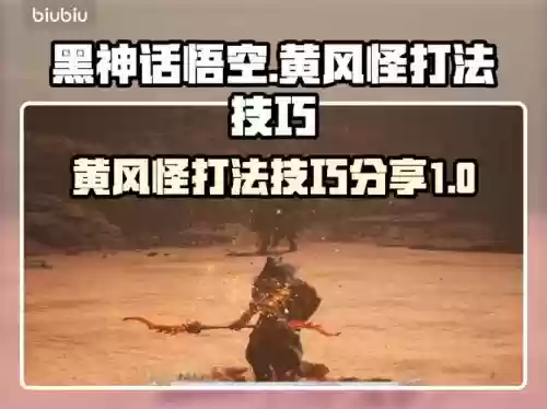 风怪带什么技能，风怪带什么技能最好
