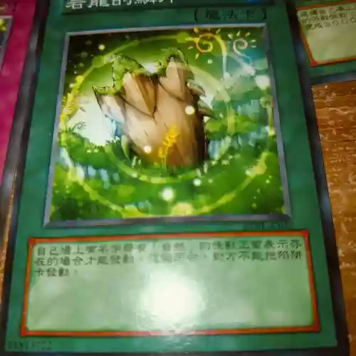 魔力学堂兽系技能书，魔力学堂圣兽技能插图1