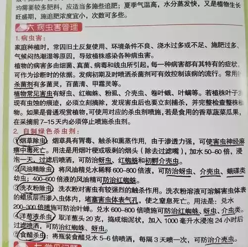 杀虫攻略，杀虫配方日常插图