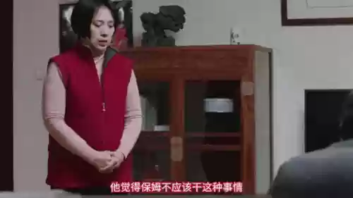 偷情保姆攻略，保姆偷主人钱是什么电视剧插图
