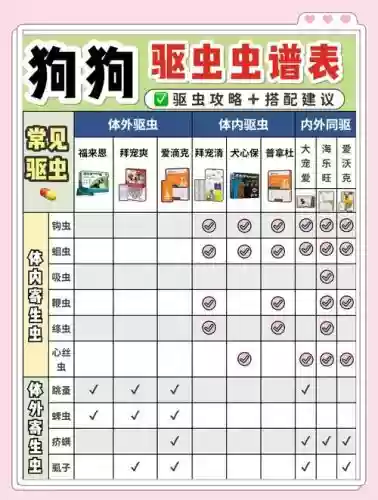 杀虫攻略，杀虫配方日常插图1