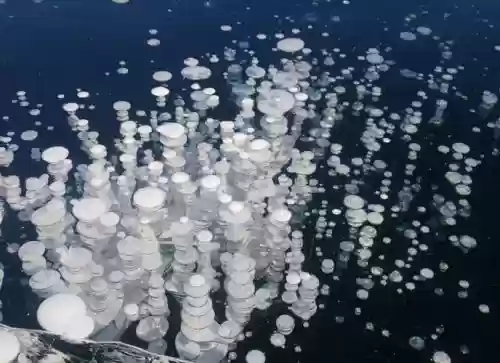icelake新手攻略，ice lake游戏攻略插图1