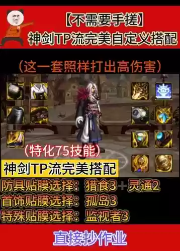 假猪套的瞎子tp技能怎么点，假猪套配什么武器插图