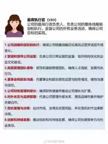 ceo技能展示，ceo的技能要求