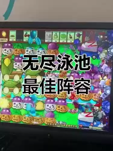 无限模式泳池阵容搭配，泳池无尽模式无炮流插图1