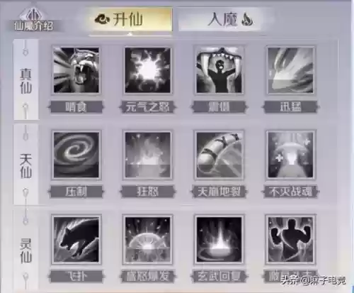 完美世界仙魔兽兽技能，完美世界仙魔兽兽技能搭配