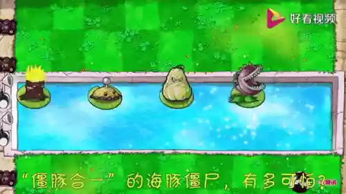 植物大战僵尸海豚阵容搭配，pvz2海豚ht插图